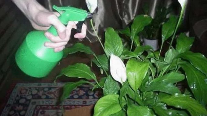 1_3_1557077588169