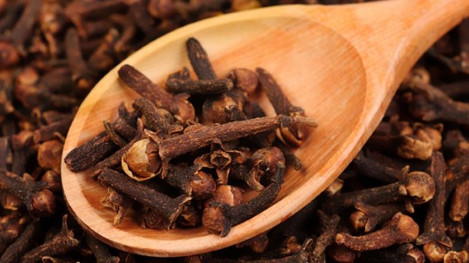 clove1