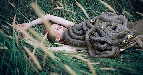 safe_image (2)